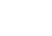 bear prints